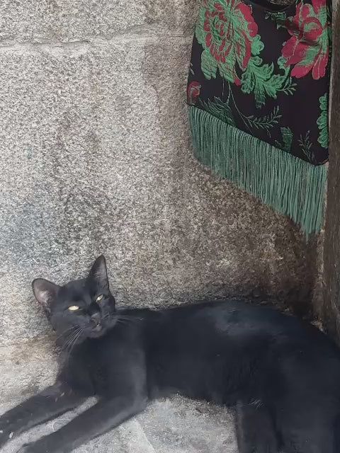 Roseraie